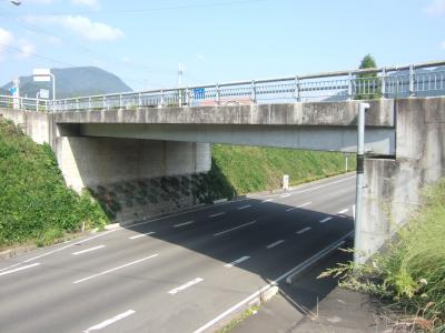 橋の下に道路があるコンクリートPC中空床版橋の写真