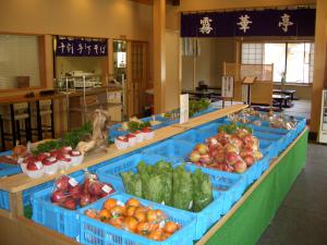 水色のコンテナに沢山の新鮮な野菜が並べられた写真