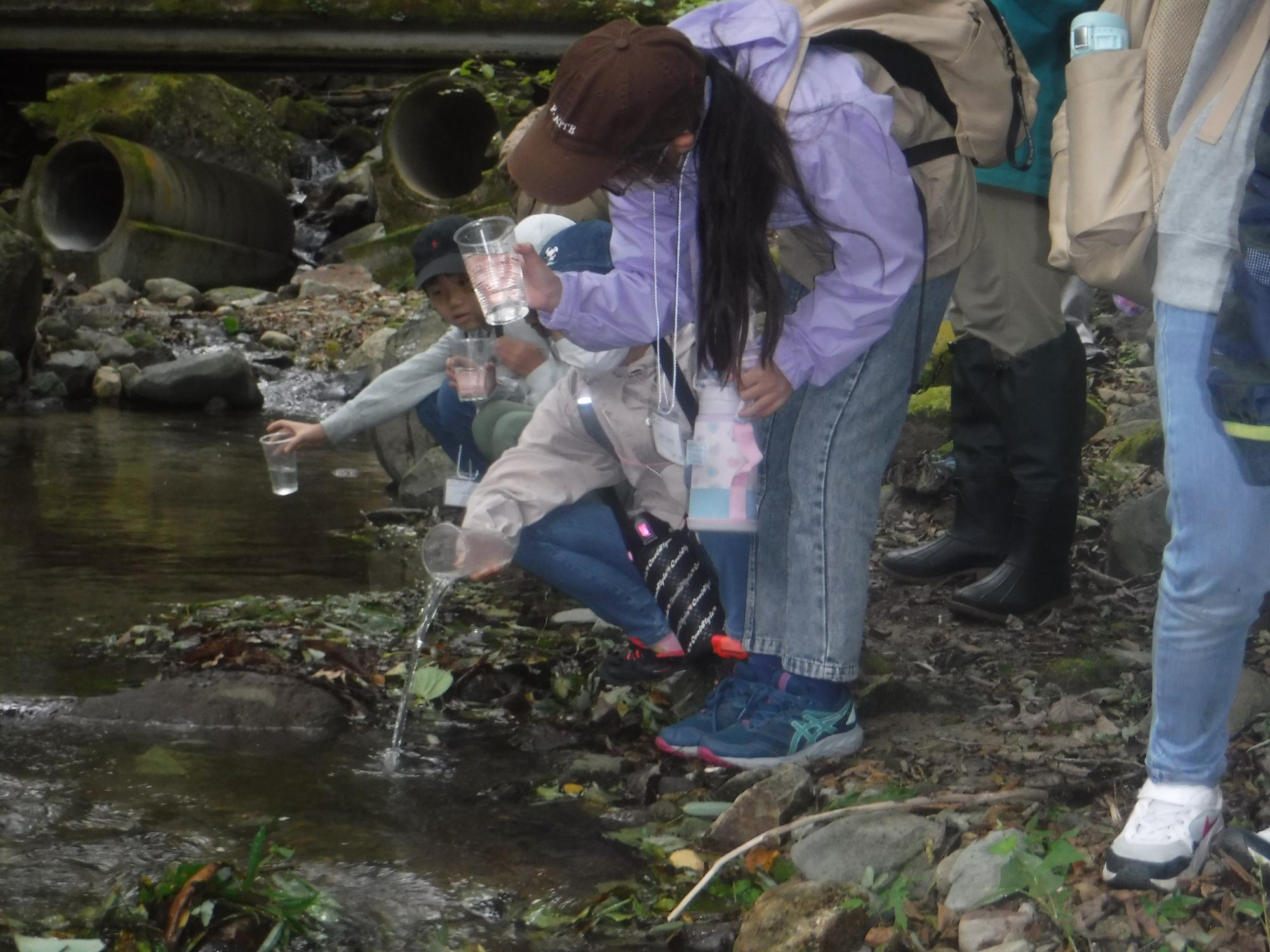 前回開催時の写真（川の水質を確認）