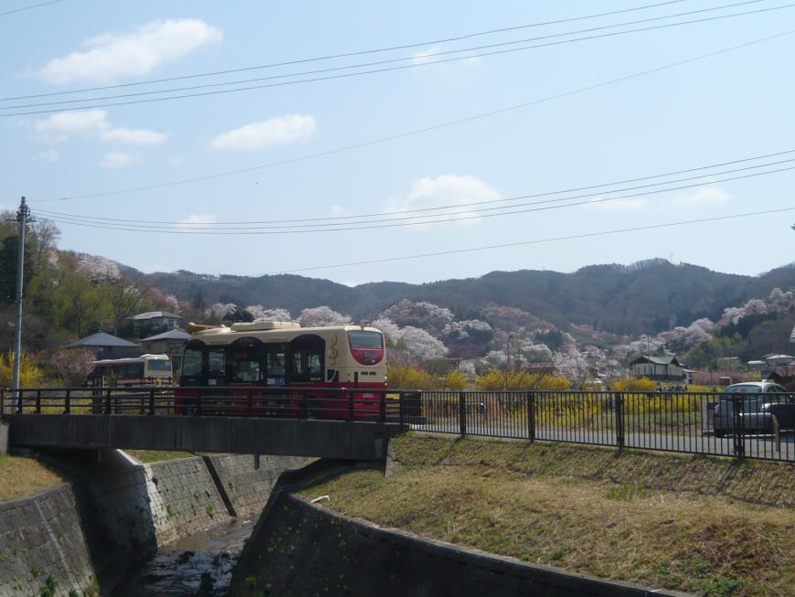 桜が開花し満開を迎えている花見山を眺めながら走っている赤色のあかメロディバスを遠目から撮影した写真
