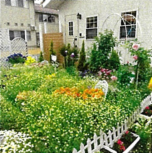 黄色やオレンジ色、ピンク色の花がたくさん咲きほこっている庭園の写真