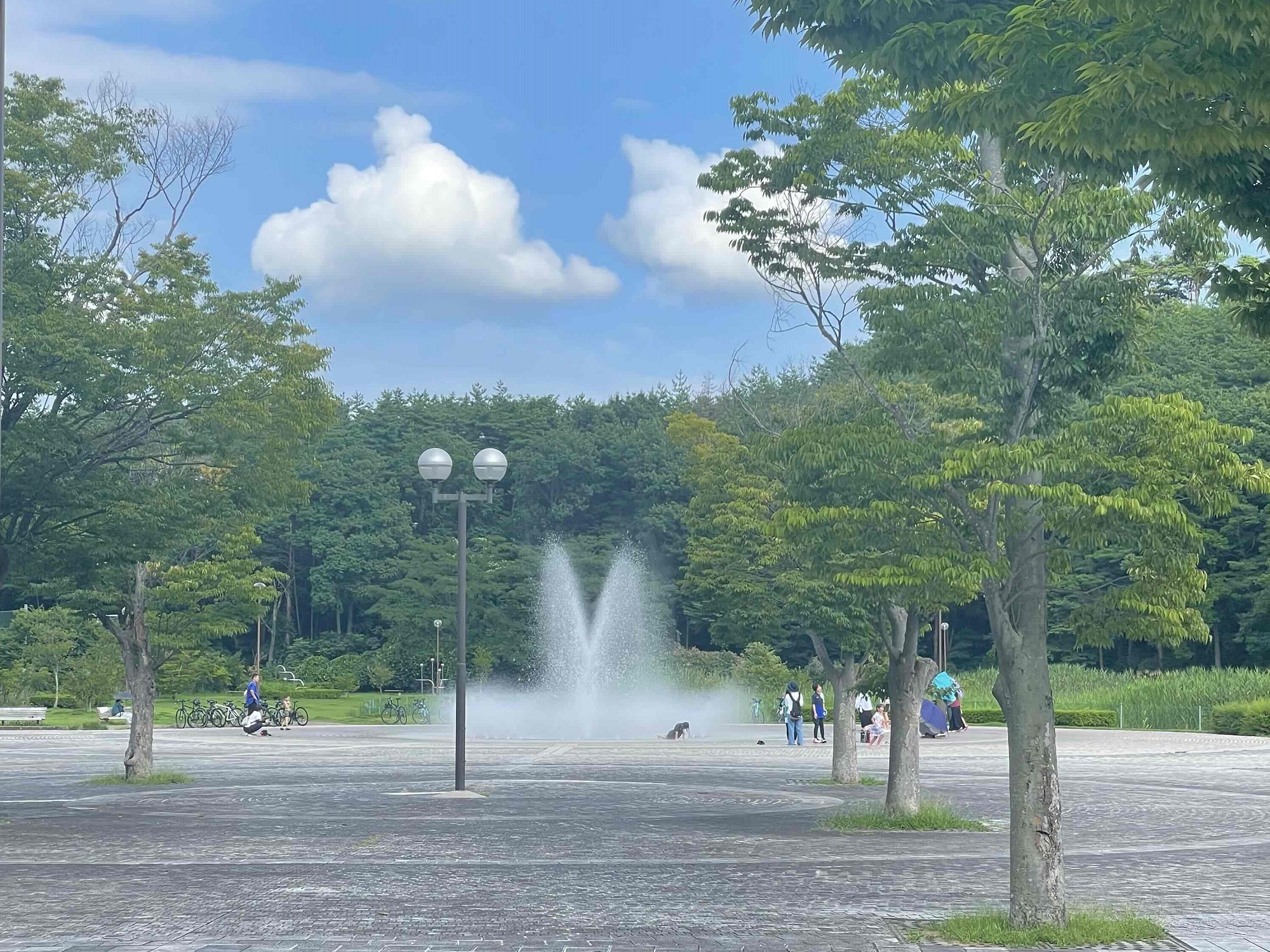 十六沼公園噴水