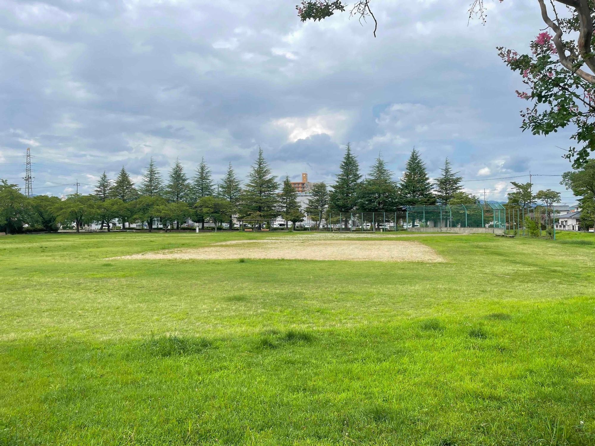 野田中央公園1