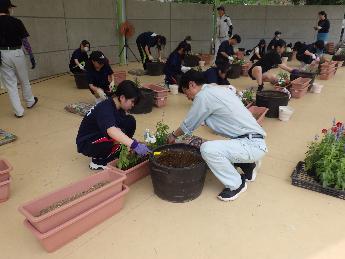 高校生が株式会社植富士の社長と一緒に花植をしている様子