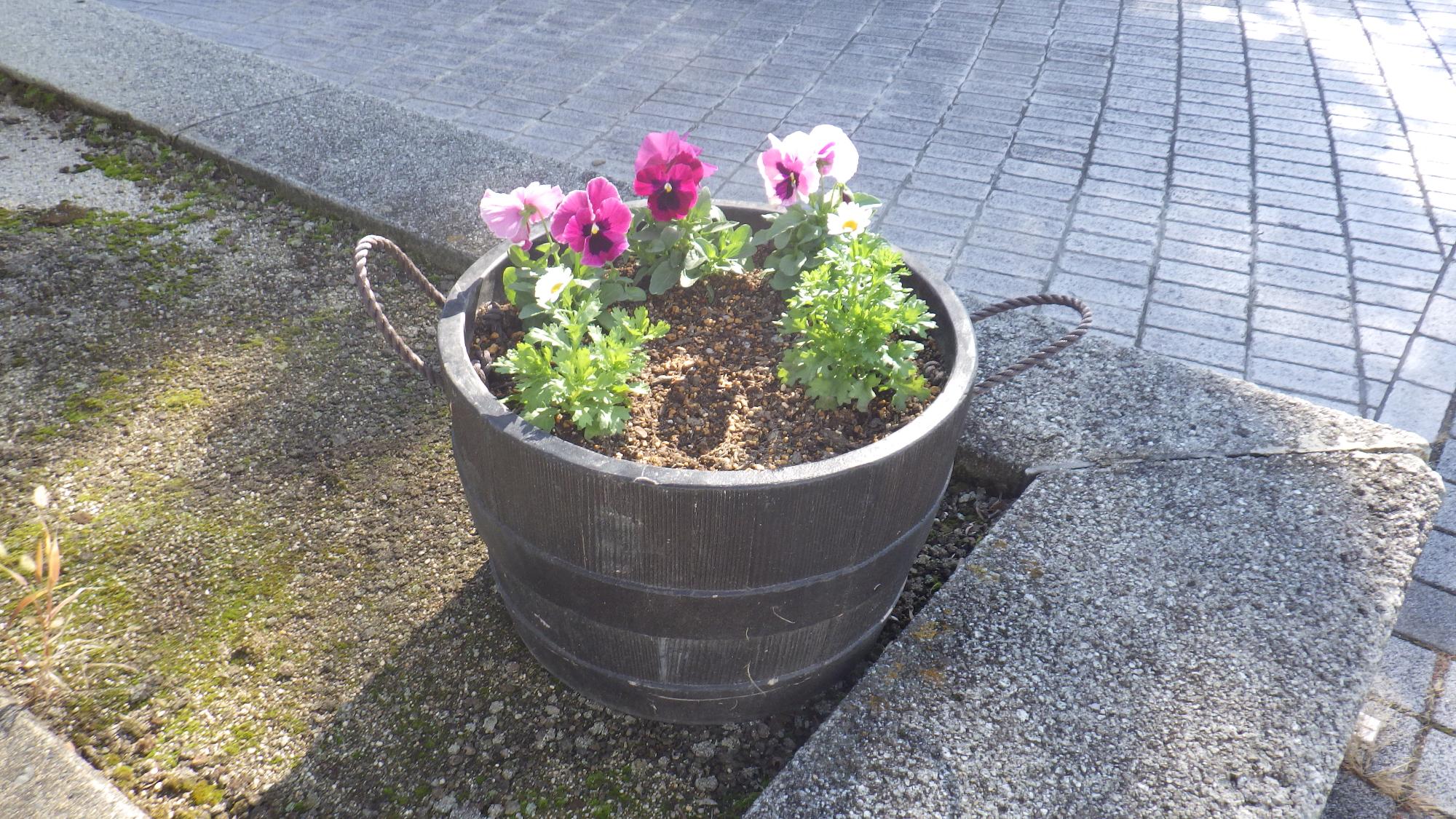 樽型プランターを設置しました