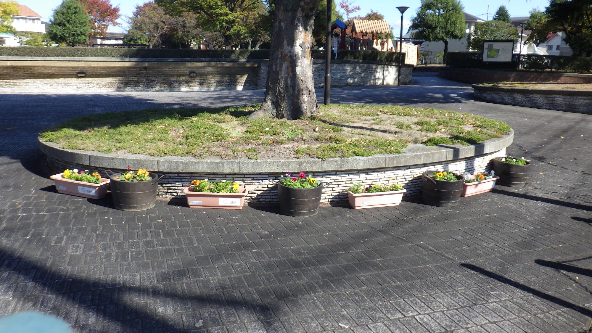 プランターを設置しました