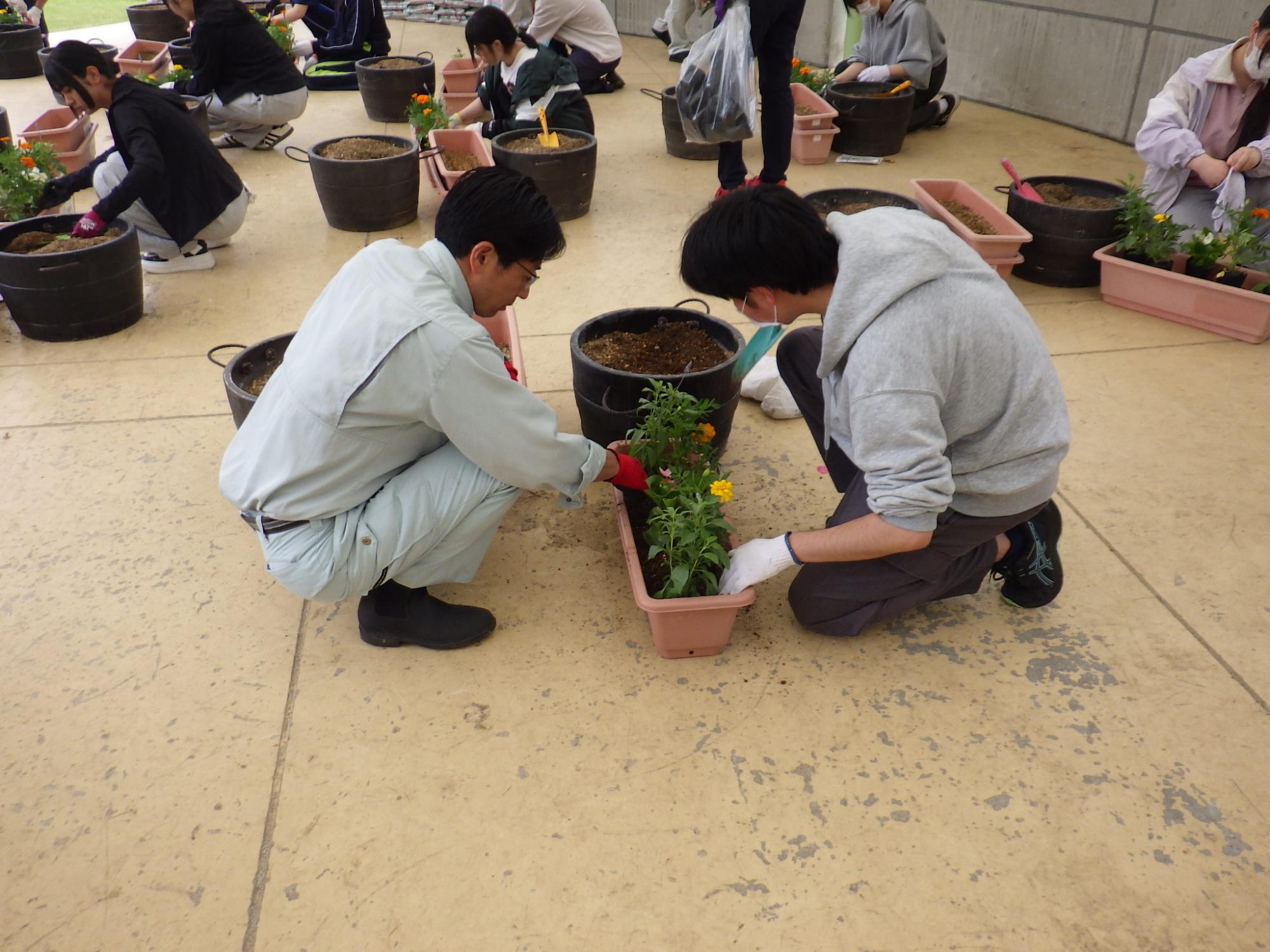 高校生が講師に教えてもらいながら花植をしている様子