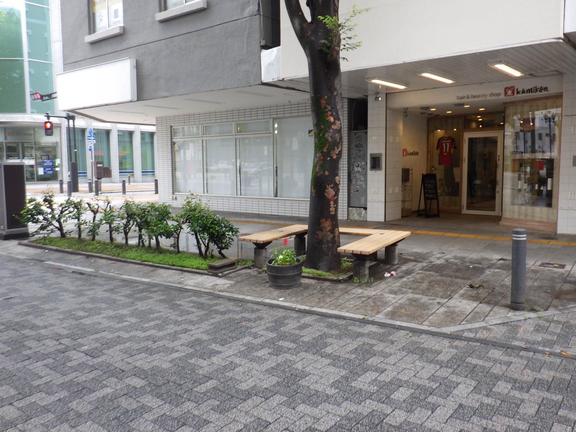 パセオ通りに設置したプランター