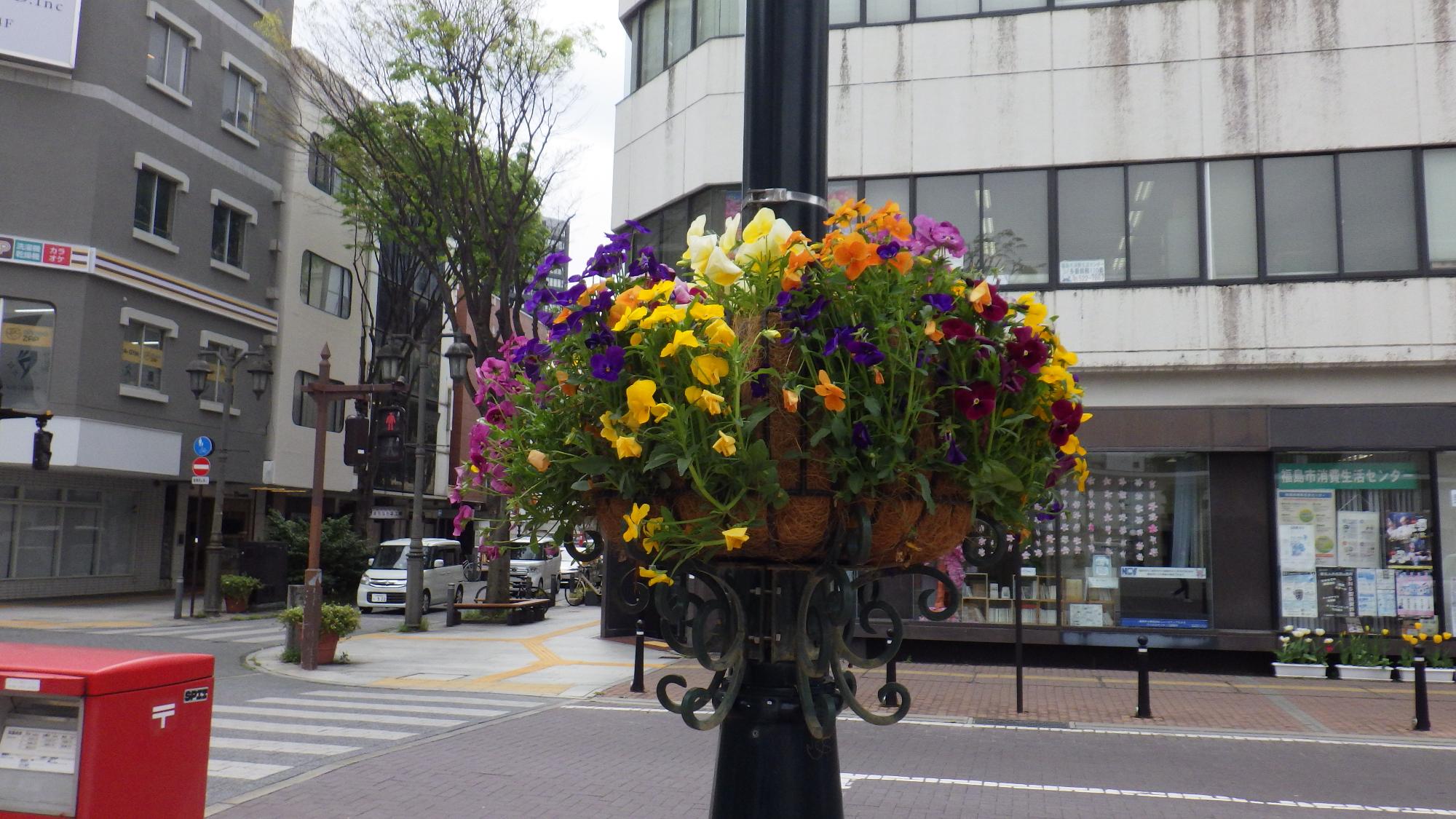 街灯のフラワーバスケットに黄色や紫、白の花々が咲いている写真