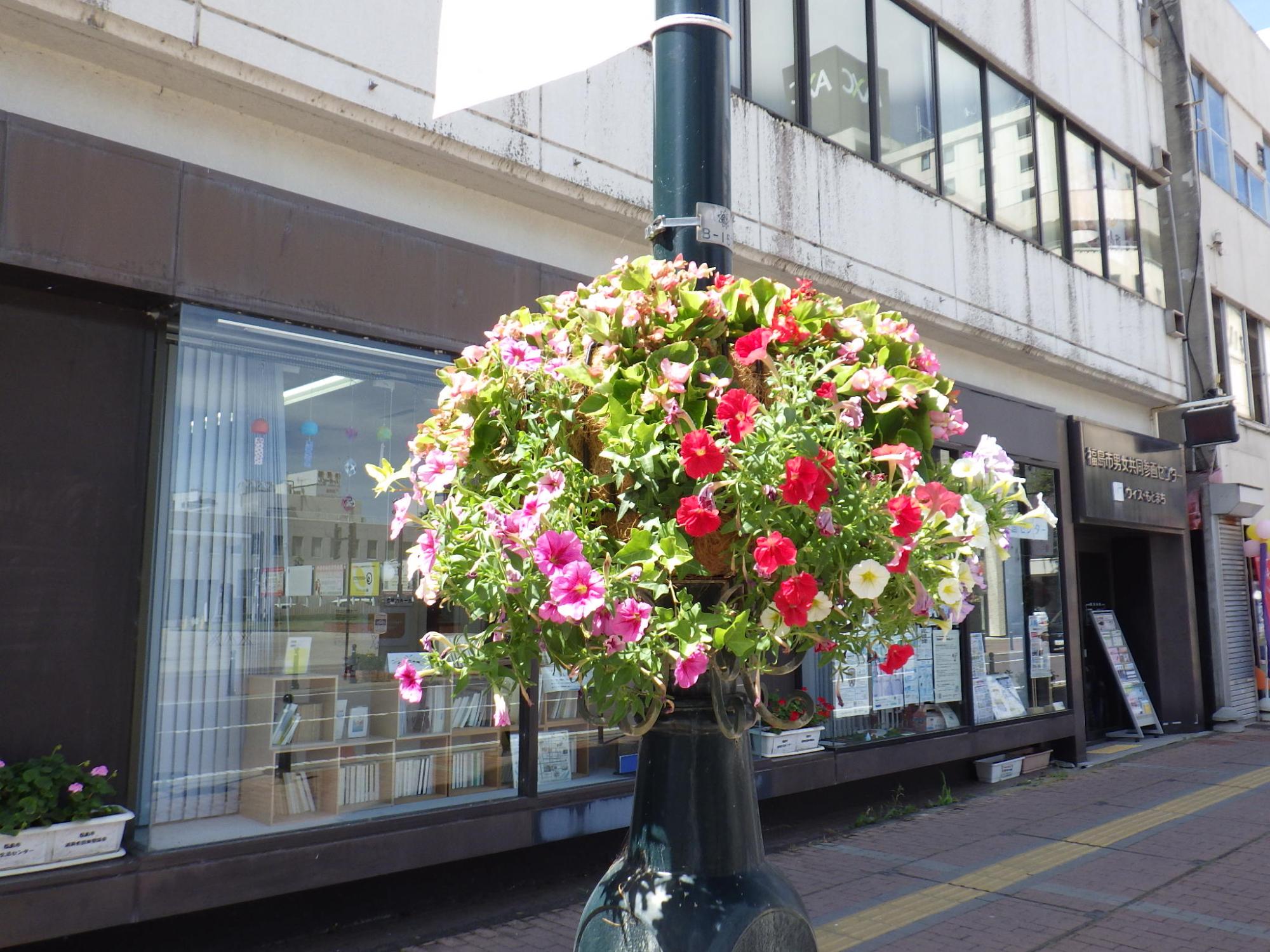 街灯のフラワーバスケットに赤色やピンク色などの花々が咲いている写真