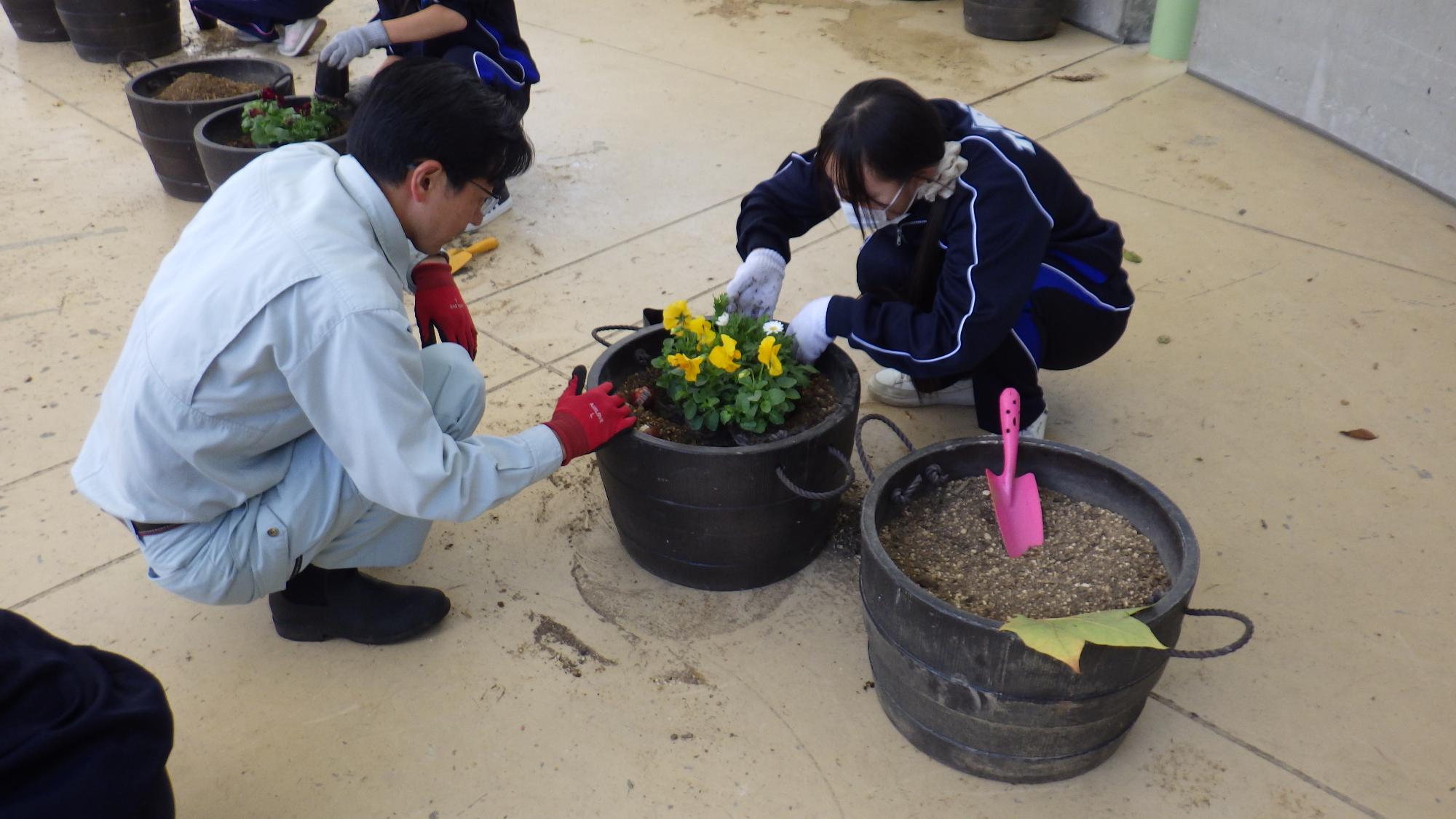 講師の先生に花の植え方を教えてもらっています