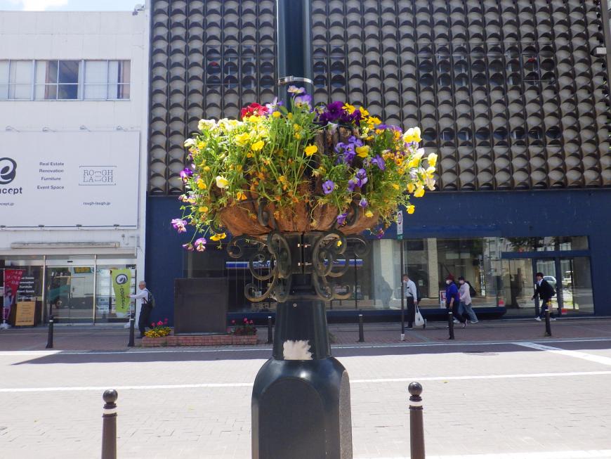 街灯のフラワーバスケットに黄色や紫、白の花々が咲いている写真