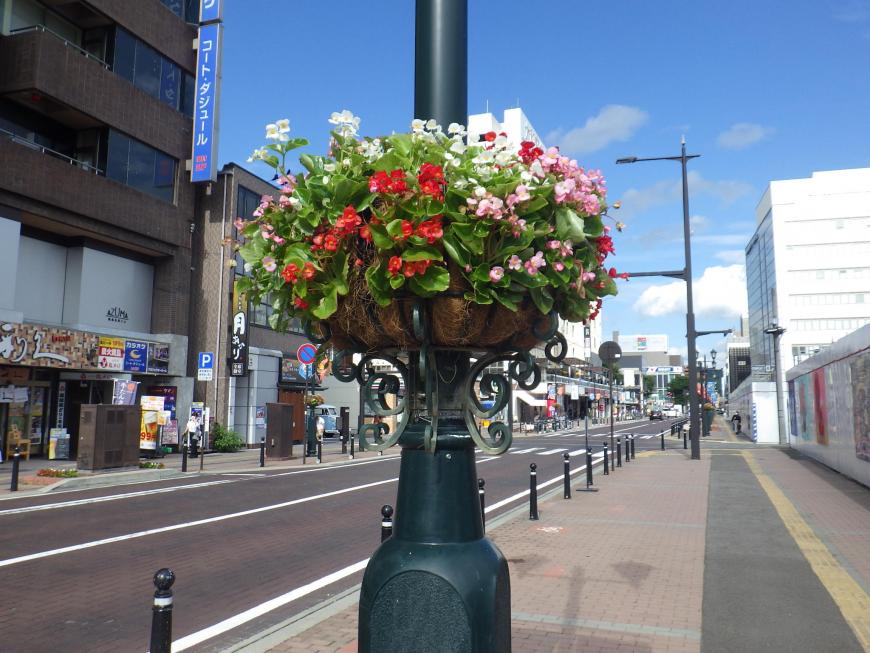 街灯のフラワーバスケットに赤色やピンク色などの花々が咲いている写真