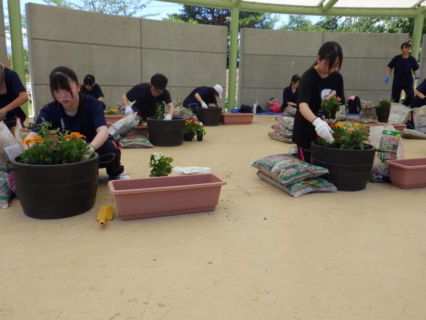 女子学生2名がそれぞれプランターに花を植えている写真