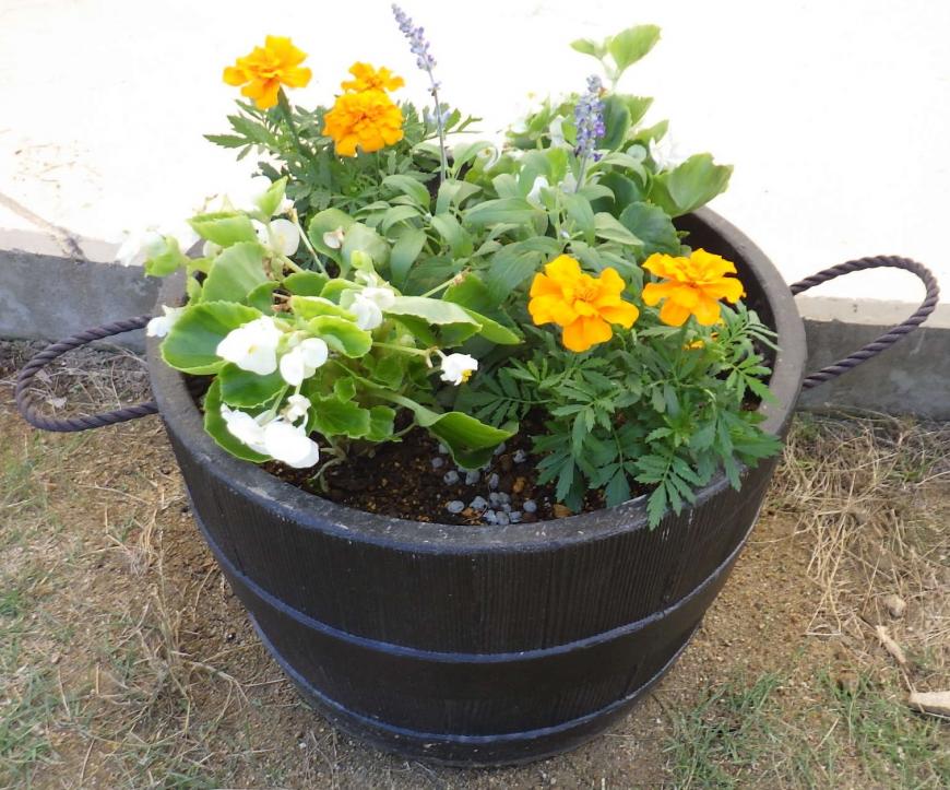 円形の形をしたプランターに黄色やや白の花が植えられている写真