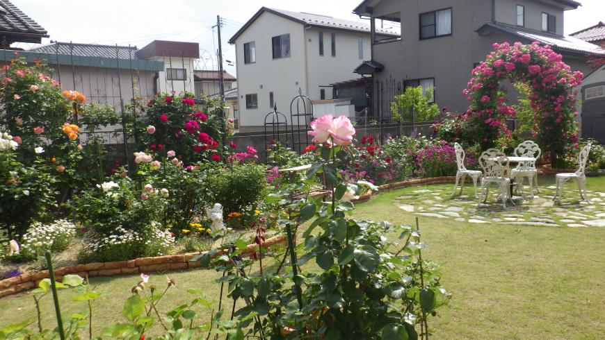 白いテーブルと4脚の椅子が置かれ、バラのガーデンアーチや花壇にもたくさんの色とりどりのバラが植えられている庭の写真