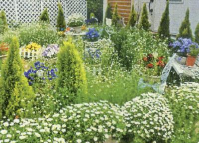 自宅隣にある庭一面に四季折々の色とりどりの草花が咲いている写真