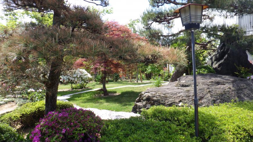 大きな庭石や外灯が設置され紅葉した松の木や植えられている和の雰囲気漂う庭園の写真
