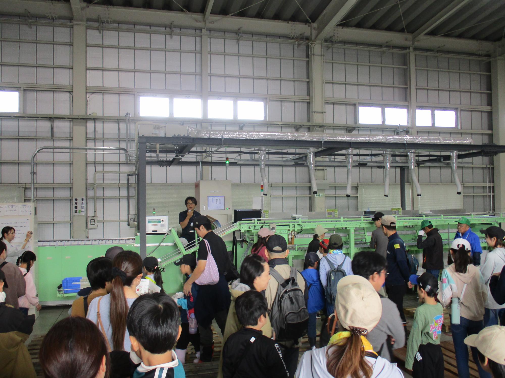 野菜選果設備見学