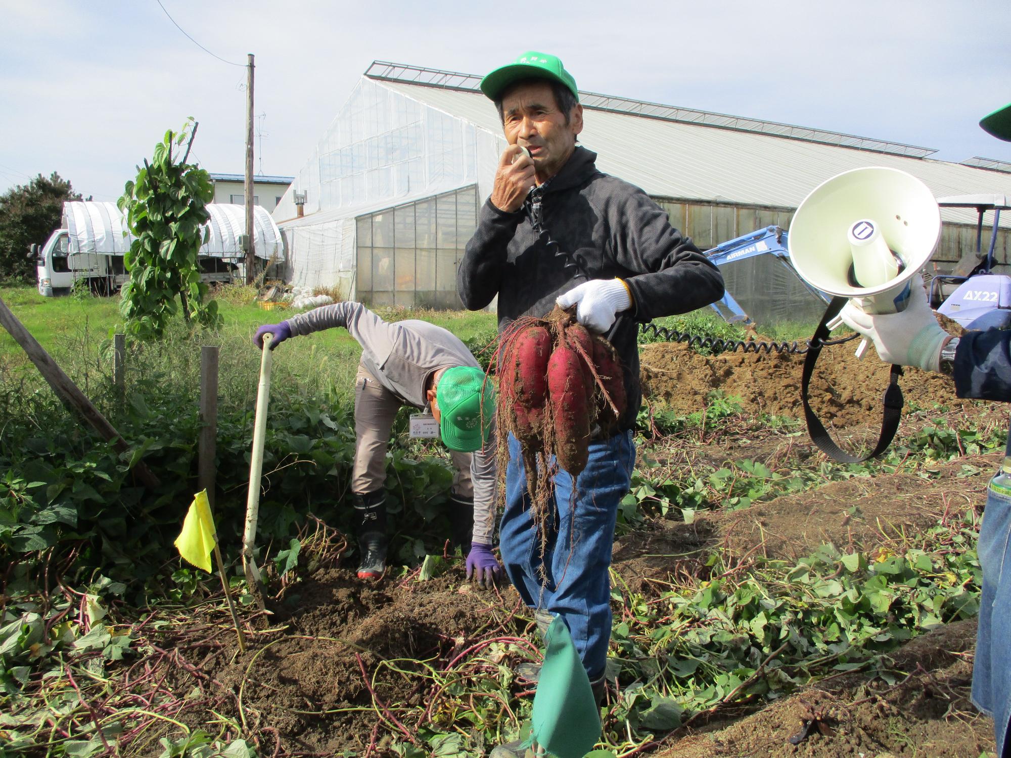 実行委員長とサツマイモ