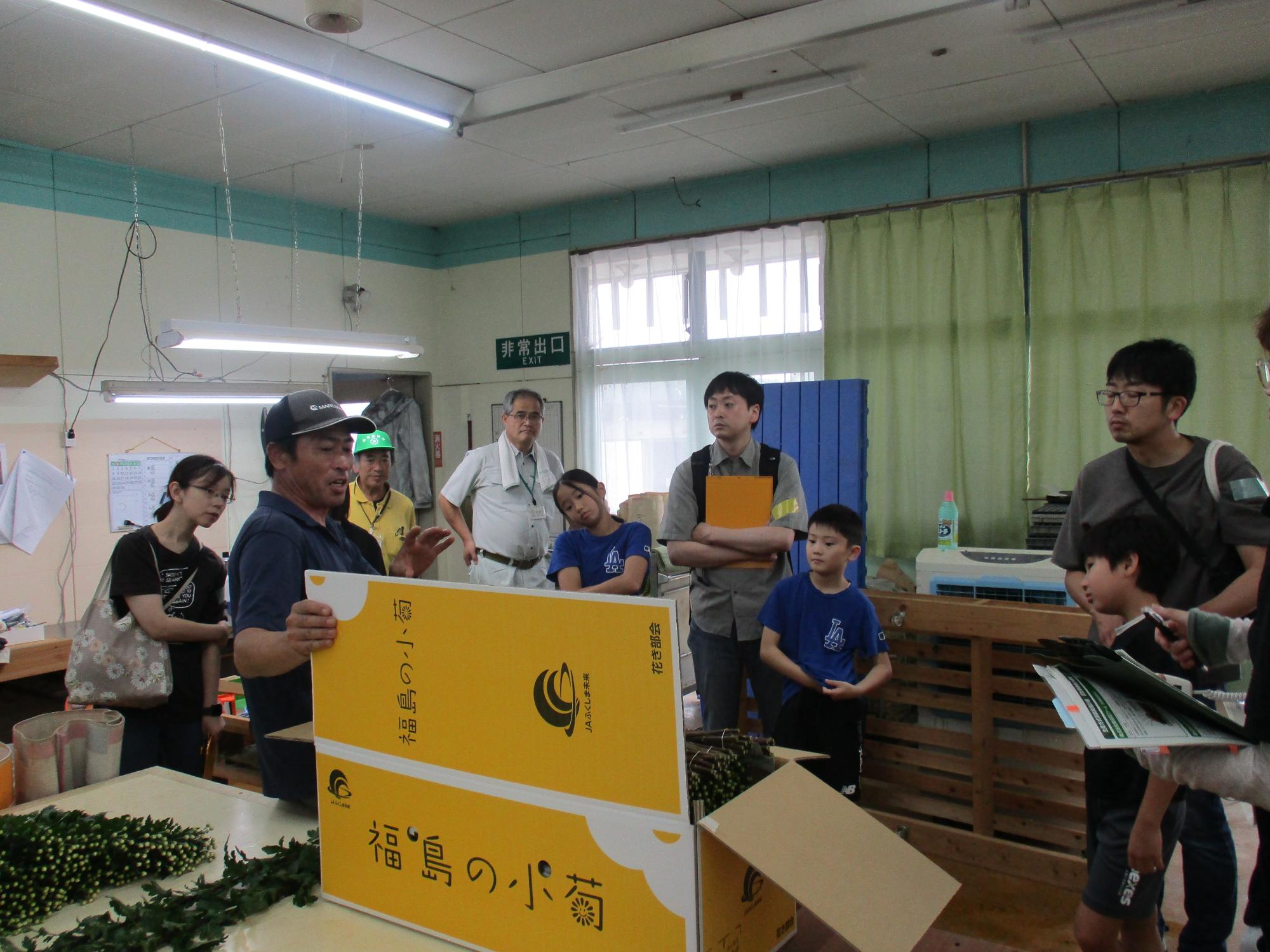 小菊見学