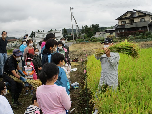 田んぼの前に集まった参加者たちが、田んぼの中に立ち、刈った稲の束を片手で持っている男性を見ている写真