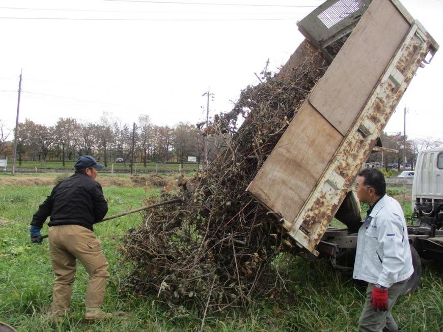 トラックの荷台いっぱいの剪定枝を草地におろしている様子の写真
