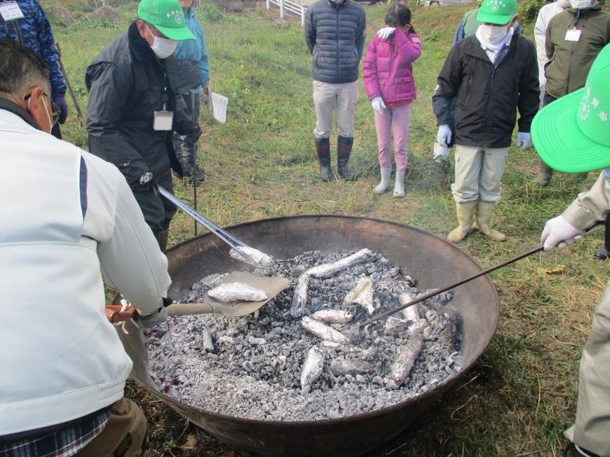 アルミホイルに包まれた焼き芋がスコップや火ばさみでひとつずつ炭化器から取り出されている写真