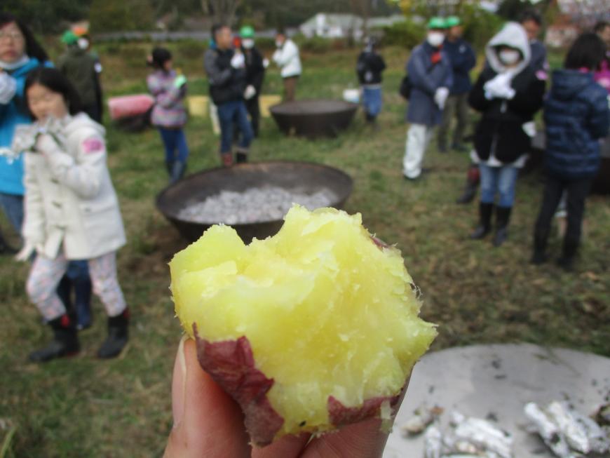黄色い焼き芋と、たくさんの参加者でにぎわう炭作り会場の写真