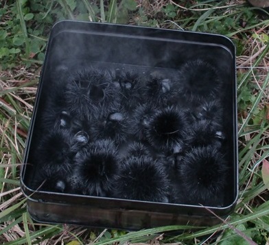 蓋を開けた缶に真っ黒な炭になったイガグリがたくさん入っている写真