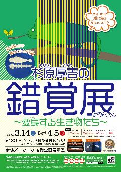 春の企画展 杉原厚吉の錯覚展 ～変身する生き物たち～