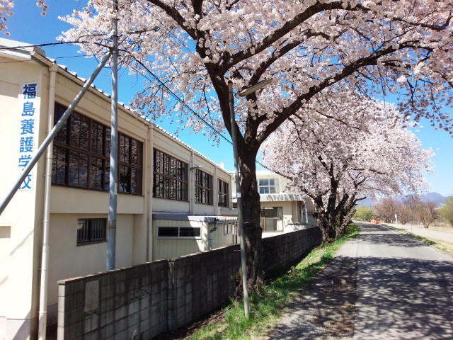 桜並木の左側あるブロック塀の内側に白い壁の建物がたっている、ふくしま支援学校の外観写真