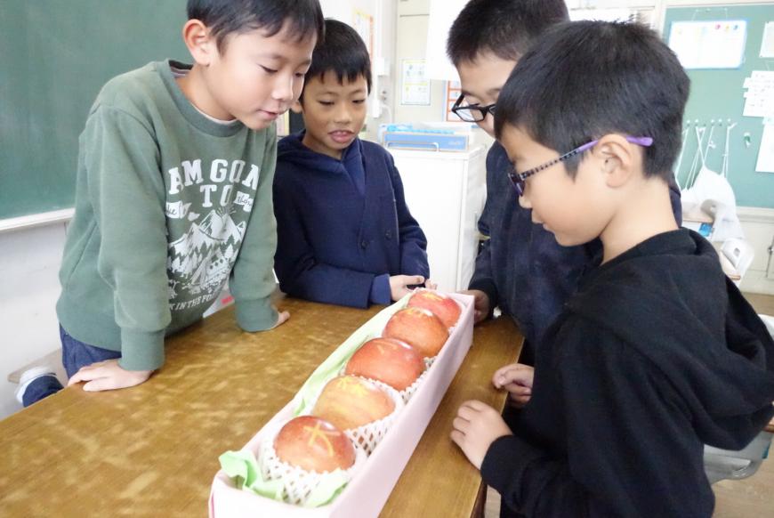 「大森小学校」と刻まれている化粧箱に入った5個のリンゴを4人の男子生徒が興味津々に覗き込んでいる写真
