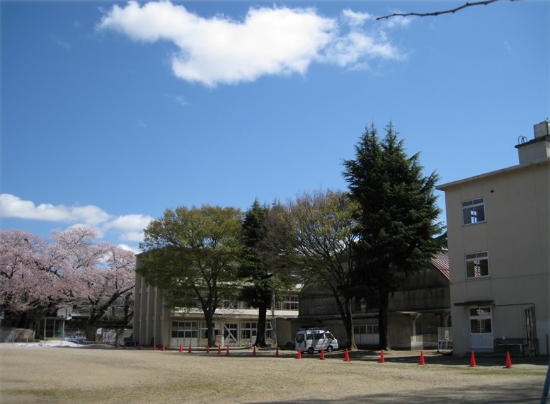 グラウンドと赤い三角コーンで仕切られた先に、背の高い木や満開に咲く桜が複数植えられ、校舎や体育館がある清明小学校の写真