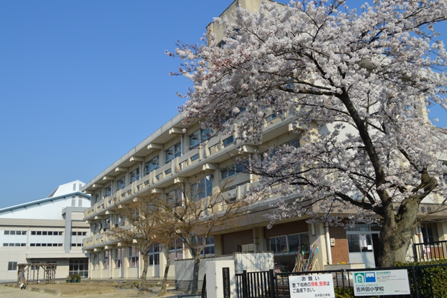 門のすぐ横に大きな桜の木があり、その奥に3階建ての校舎と体育館が建っている吉井田小学校の外観写真