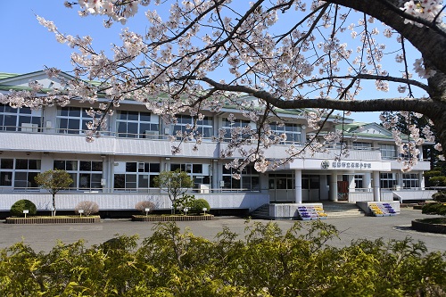 花をつけた桜の枝越しに撮影した2階建ての佐原小学校の外観写真