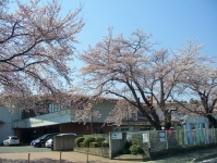 フェンスに囲まれた敷地に複数の桜の木と校舎がある庭塚小学校の外観写真