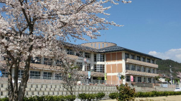 満開に咲く桜の木越しに写した南向台小学校の3階建ての校舎の写真