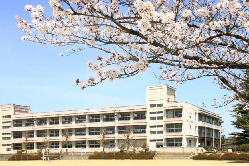花をつけた桜の枝越しに撮影した3階建ての平野中学校の外観写真