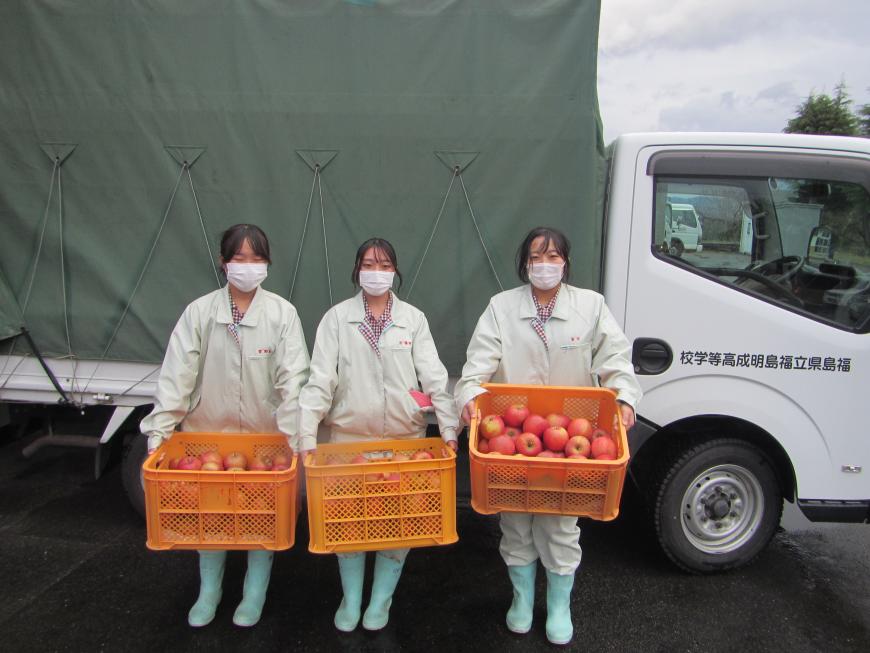 トラックの前で3人の福島明成高等学校の生徒さんが収穫コンテナに入ったリンゴを持っている写真