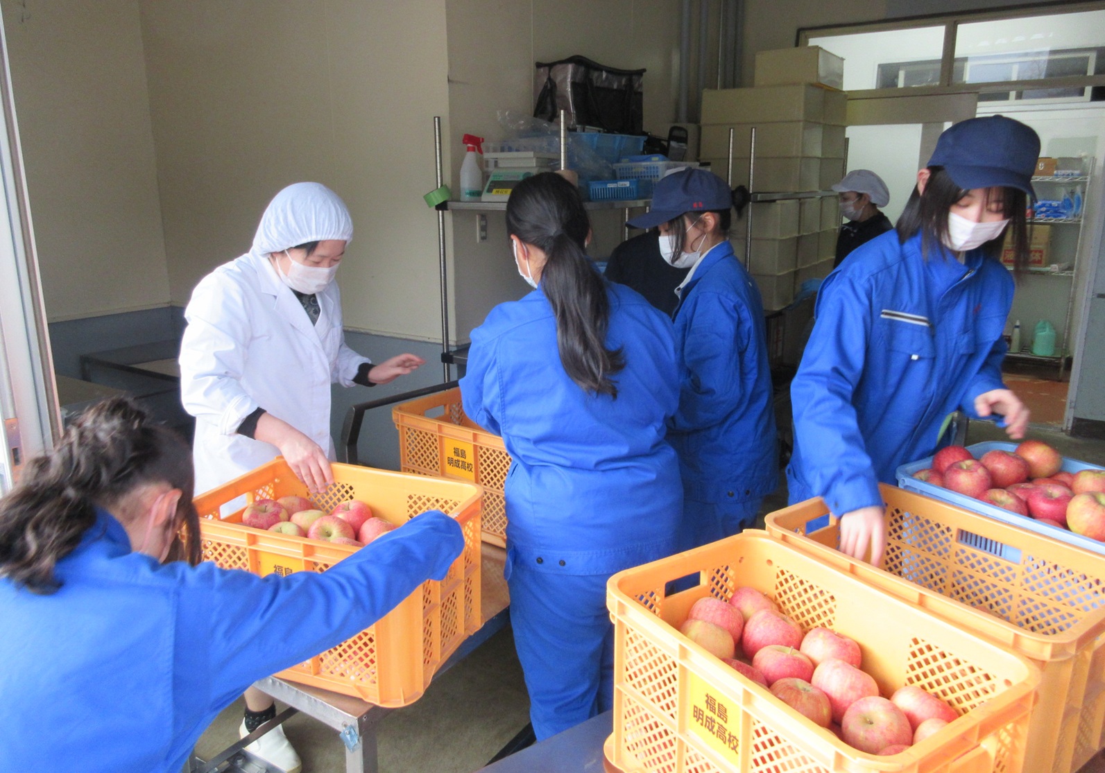 給食センターにりんごを納品している写真
