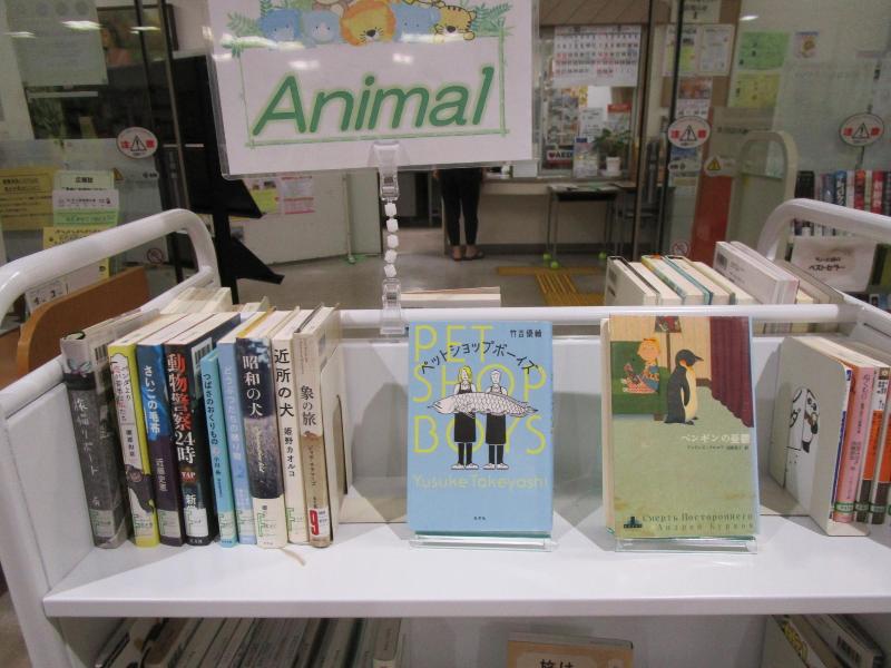 展示2