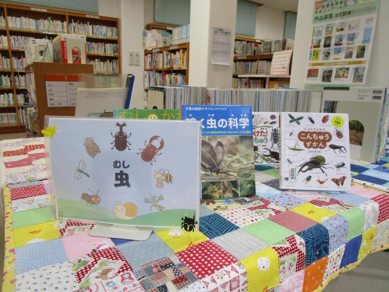 展示4