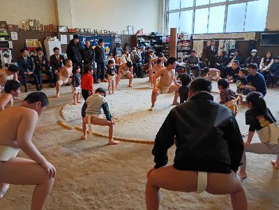 0118わんぱく相撲