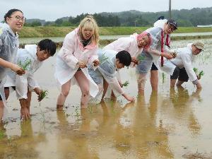 銀座酒づくりプロジェクト