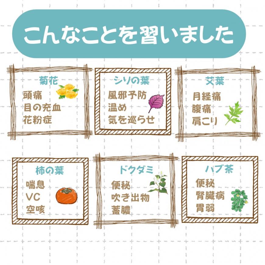 漢方茶作り講座の「こんなことを習いました」の紹介ポスター