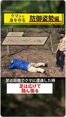 kumabougyousisei