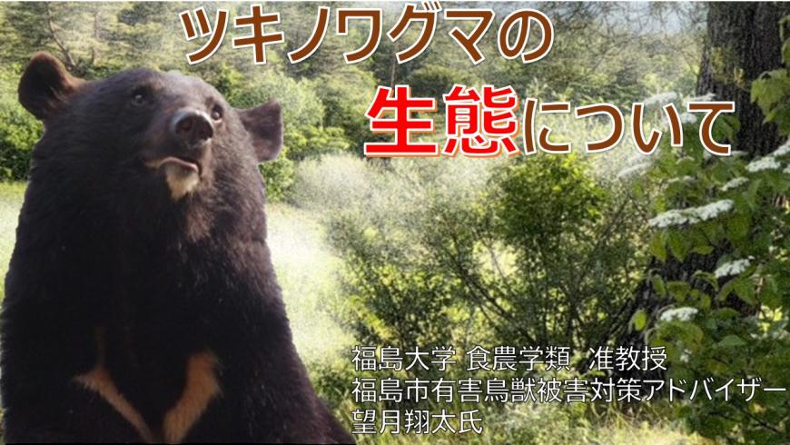 クマの生態