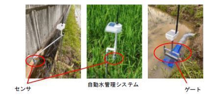 水位センサ