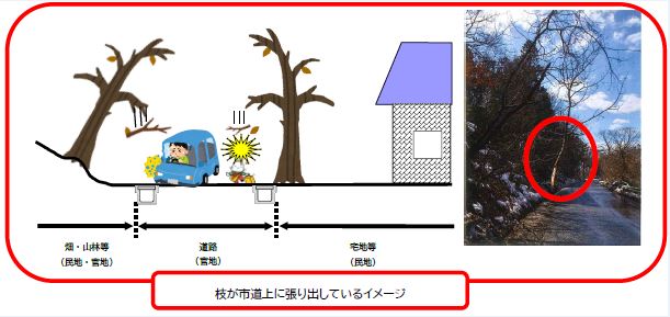 木の枝が道路にはみ出ているイラスト